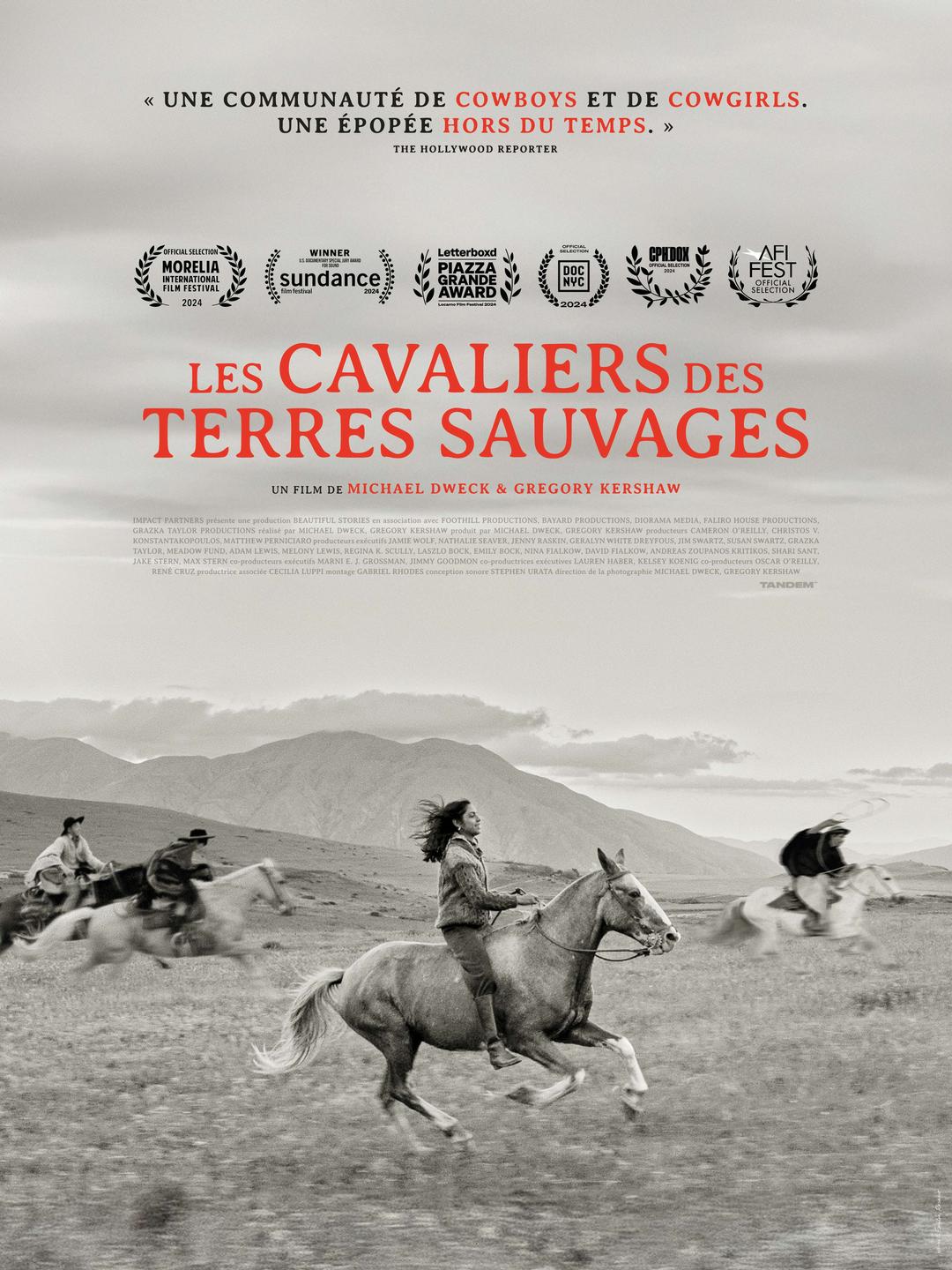 Affiche LES CAVALIERS DES TERRES SAUVAGES