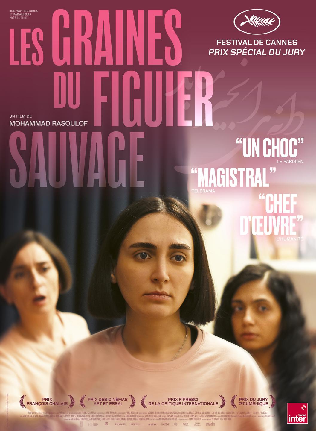 LES GRAINES DU FIGUIER SAUVAGE