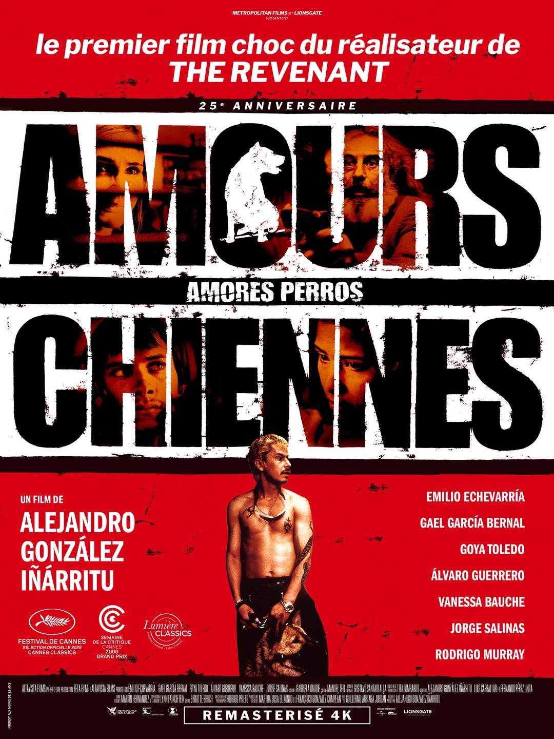 Affiche AMOURS CHIENNES