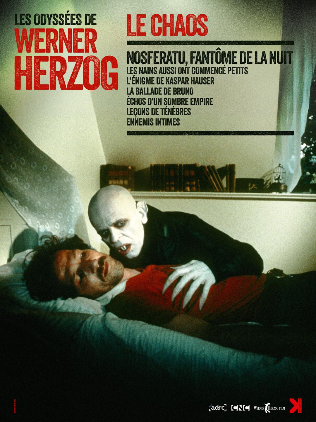 Affiche L ENIGME DE KASPAR HAUSER